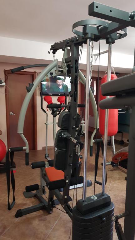Fitness centrum a/nebo fitness zařízení v ubytování Apartments Bogdanovic