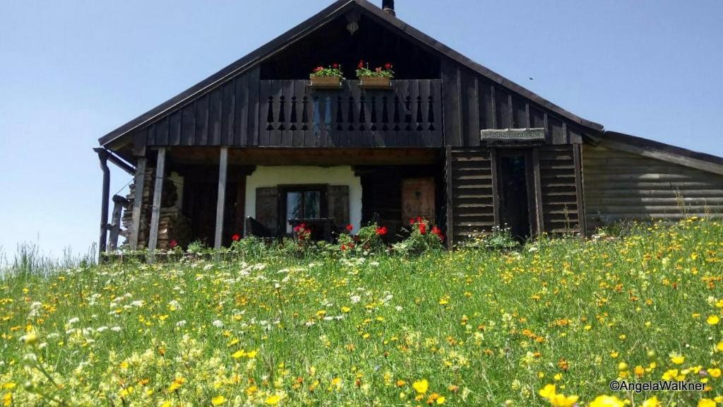 Schnaitstadl-Alm في Krispl: منزل على تلة مع ميدان من الزهور