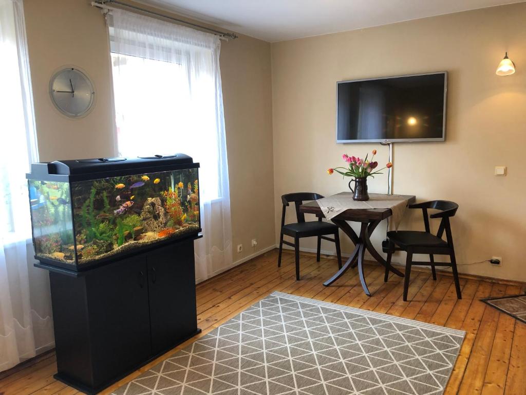 TV a/nebo společenská místnost v ubytování Apartamentai Viktorija