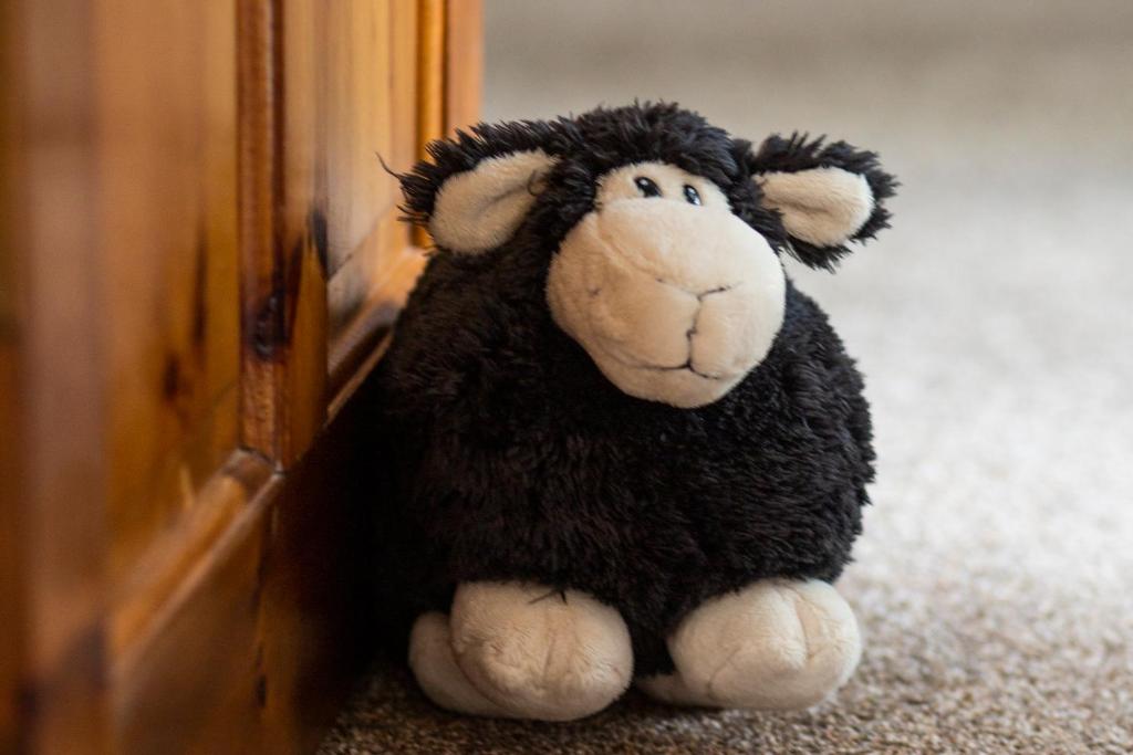 a stuffed animal is sitting next to a mirror at Ceol na Mara Guest House in Tarbert