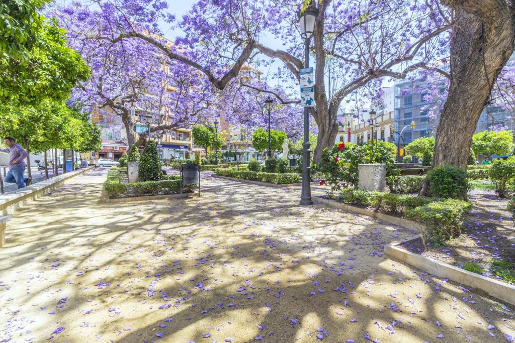 Fotografia z galérie ubytovania Cubo's Apartamento Origen del Sur v destinácii Málaga
