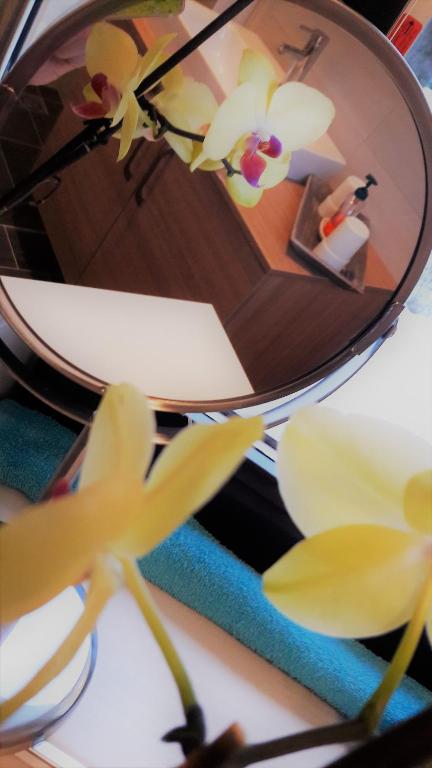 Fotografie z fotogalerie ubytování Ferienwohnung Michaela v destinaci Lackenhof