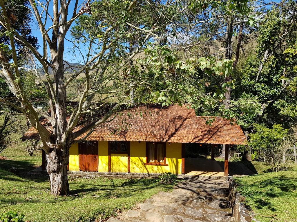 una casa amarilla y amarilla con un árbol delante en Chalé na Serra da Mantiqueira, en Campos do Jordão
