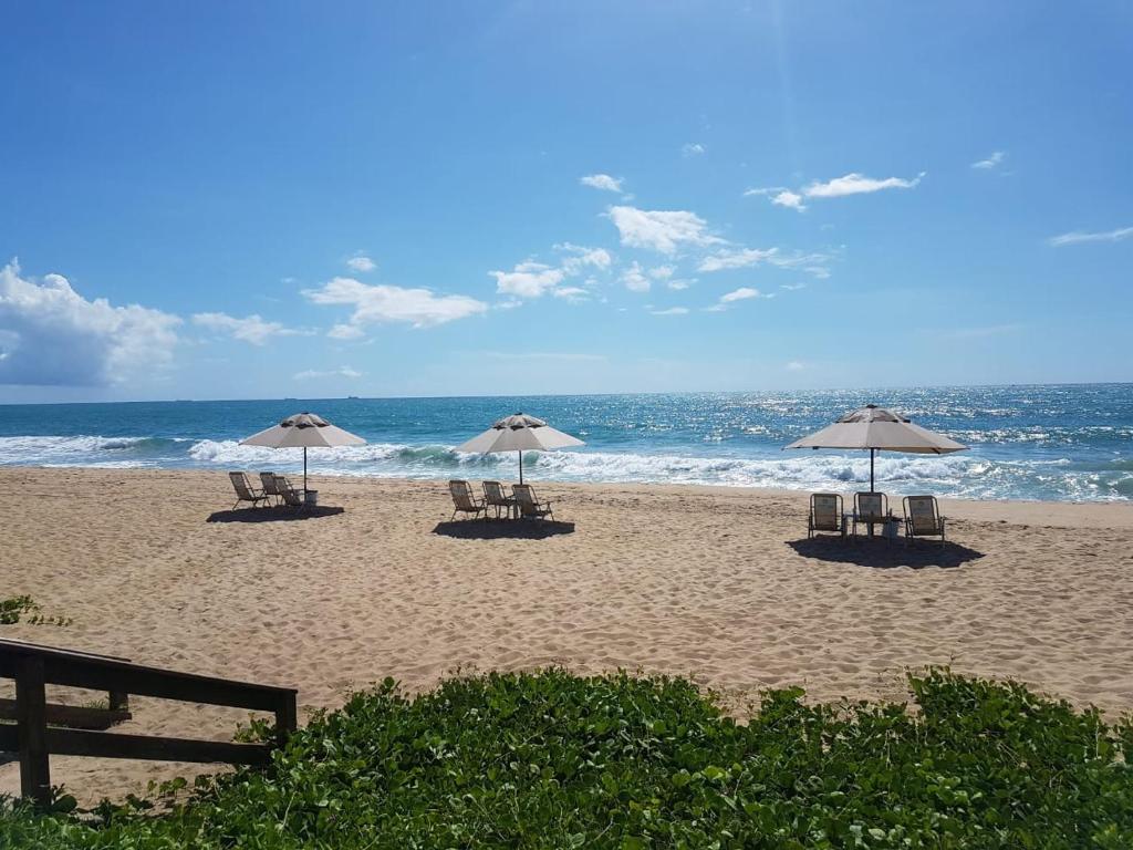 a group of chairs and umbrellas on a beach at Beach Class Eco Life Figueira in Porto De Galinhas