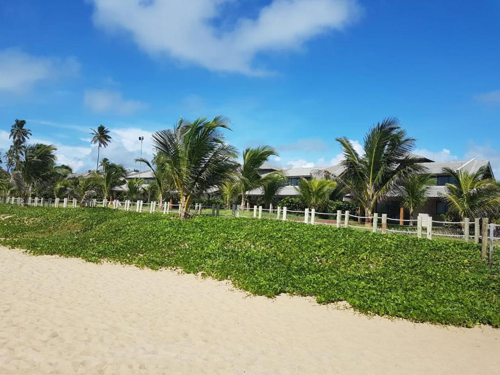  Beach Class Eco Life Figueira