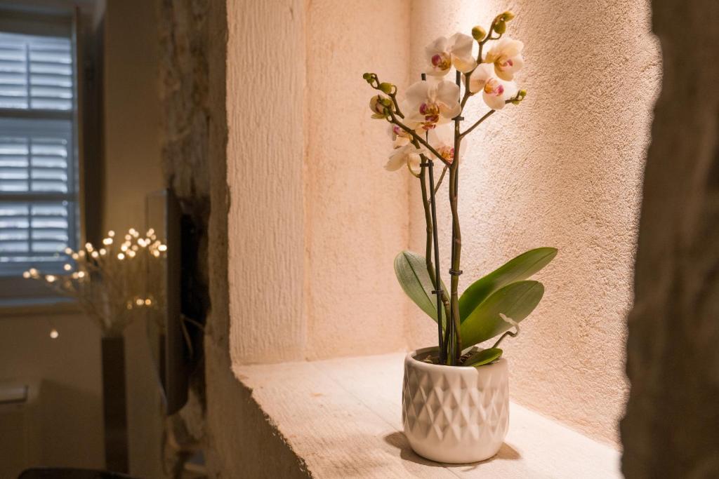 Nije Preša Apartments - 17