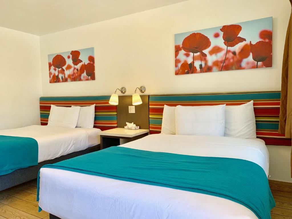 Sandyland Reef Inn - 