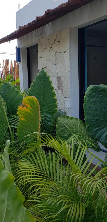 Poza Clara Sanctuary