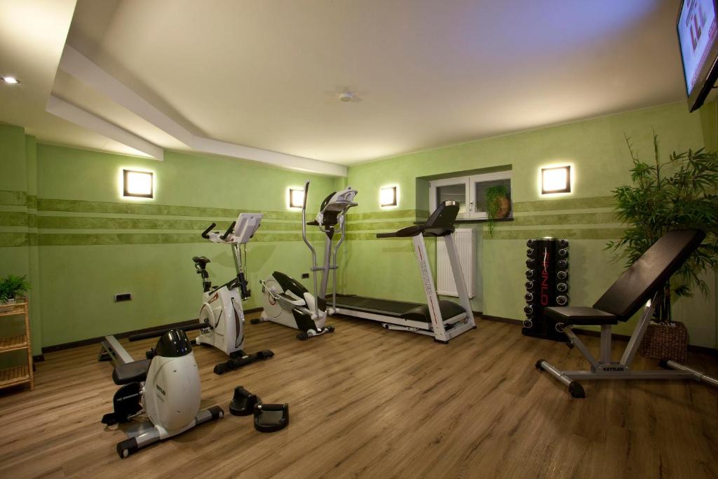 Fitness centrum a/nebo fitness zařízení v ubytování Hotel Schiller