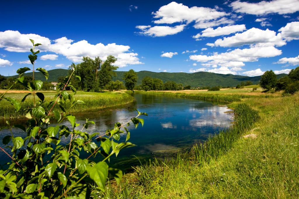 a river in the middle of a grassy field at Apartments Gacka Valley in Otočac