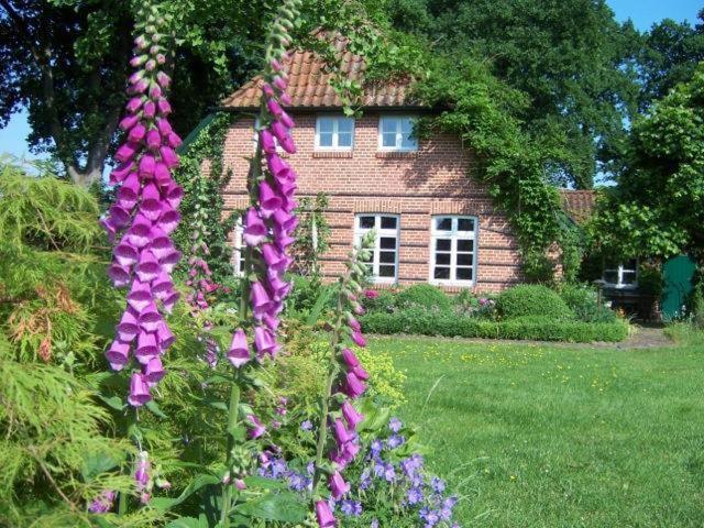 a garden with purple flowers in front of a house at Haus "Am Kienmoor" in Bad Zwischenahn