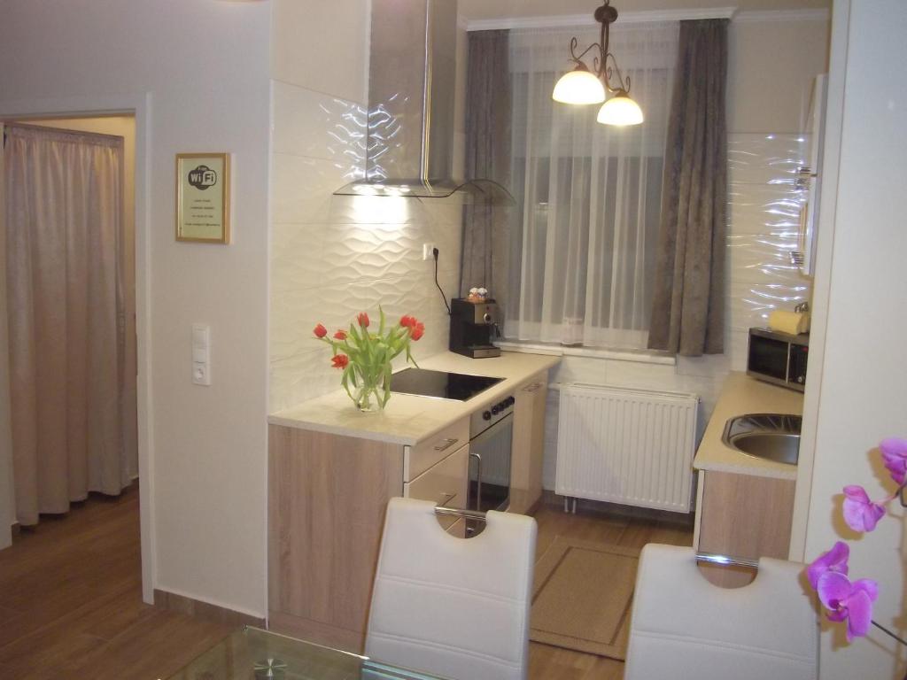 Kuchyňa alebo kuchynka v ubytovaní Ametiszt Apartman