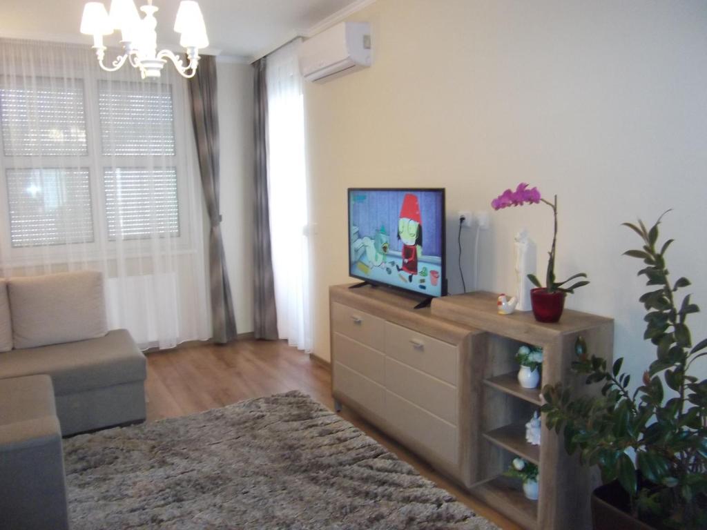 Televízia a/alebo spoločenská miestnosť v ubytovaní Ametiszt Apartman