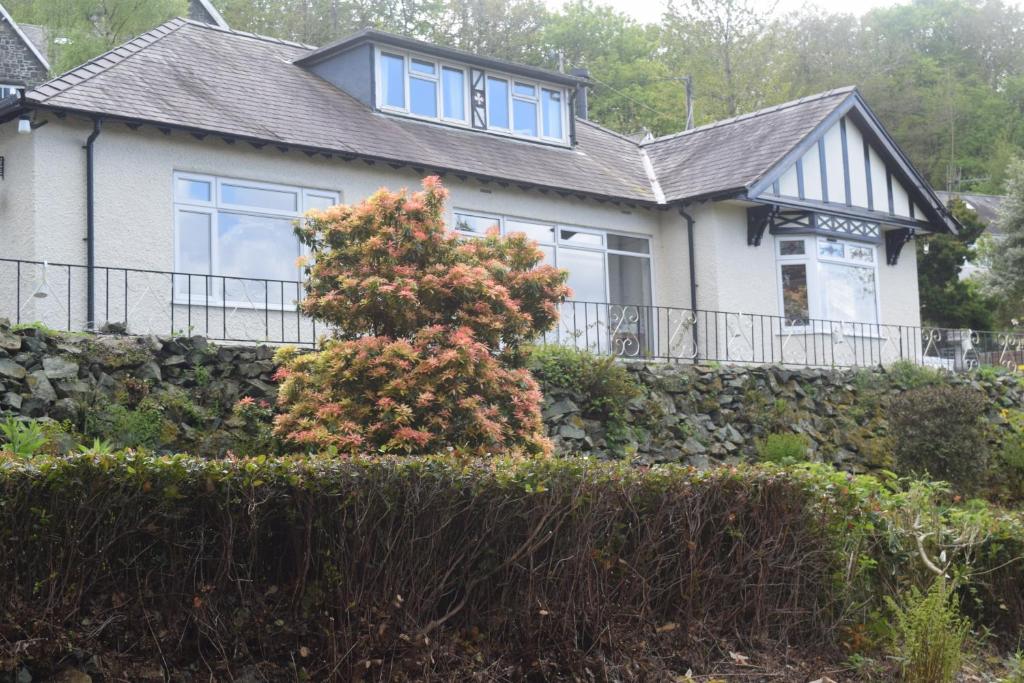 a house with a stone wall and a bush at Borthwenbnb in Dolgellau