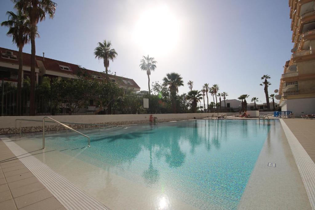 a large swimming pool in a building with palm trees at Apartment with terrace in Playa de Las Americas in Playa de las Americas