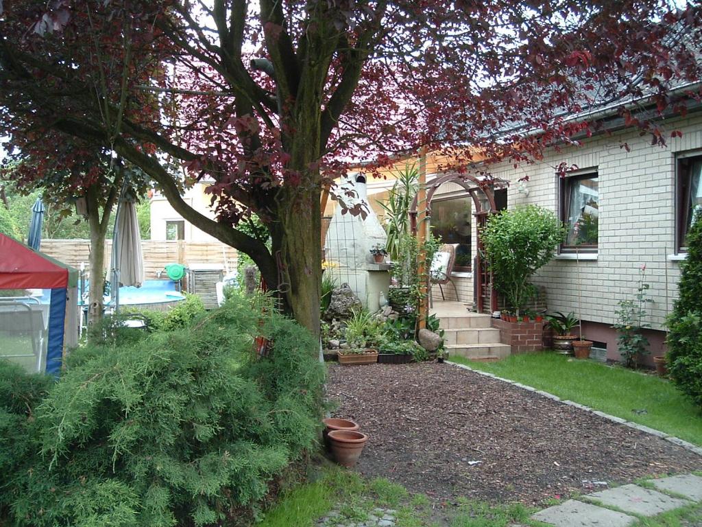 einen Hof mit einem Baum und einem Haus in der Unterkunft Ferienwohnung Neumann in Berlin