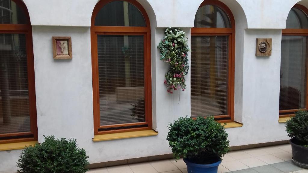 Zahrada ubytování Apartmány Brno