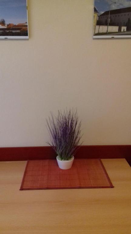 Apartmány Brno - 15