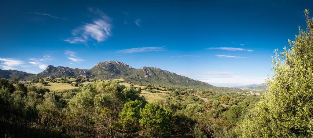 a view of a valley with mountains in the background at Case Vacanze S'Arrexina in Rudalza