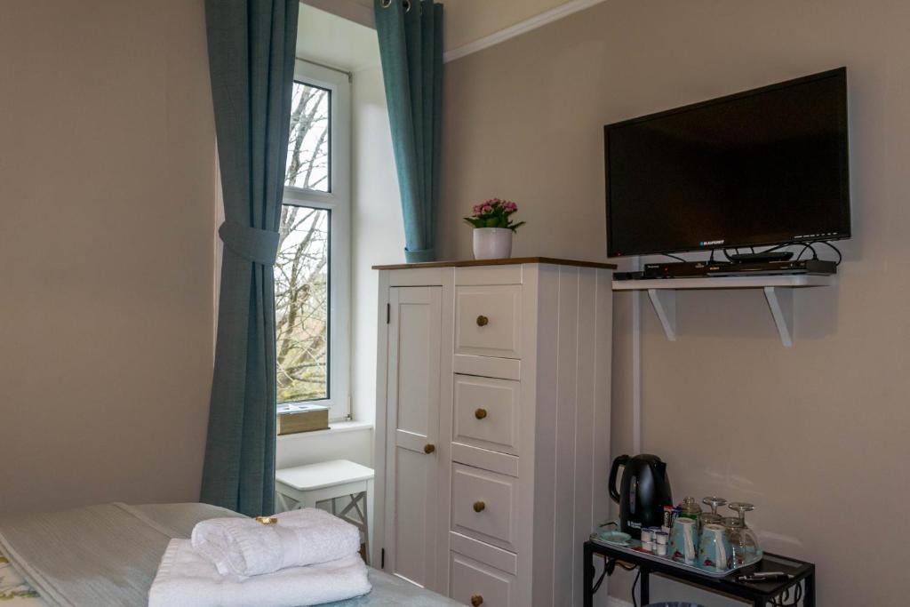 TV a/nebo společenská místnost v ubytování The Tregortha B&B