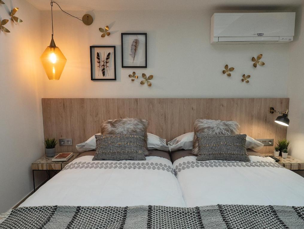 Homely Salamanca - 7