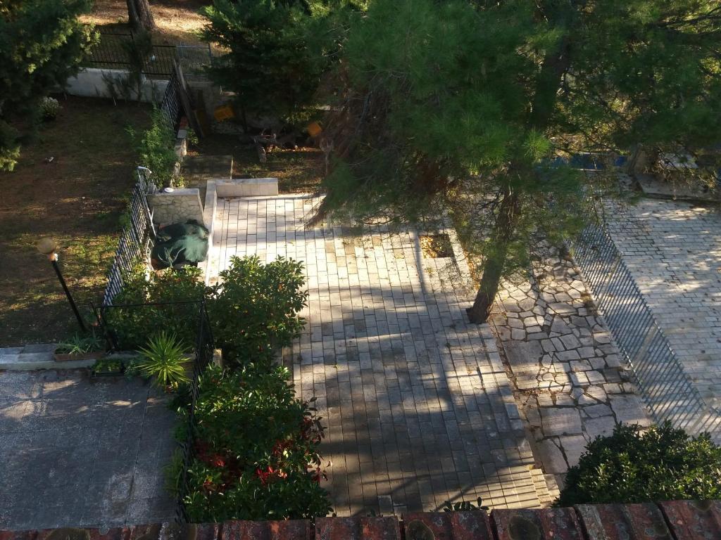 a cat sitting on a walkway in a yard at Villa Le Rose in San Menaio
