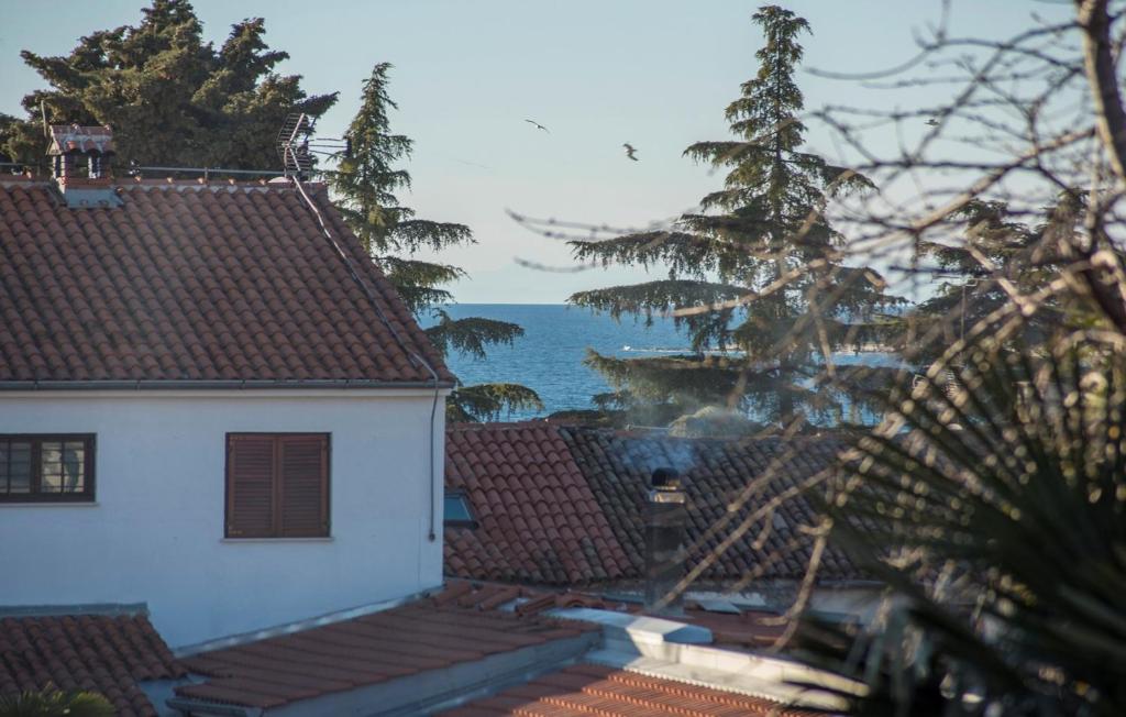 Przyroda w pobliżu tego pensjonatu