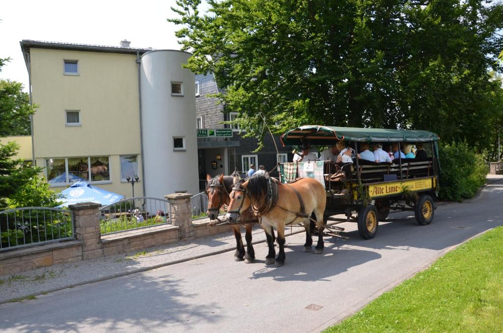Zvířata v hotelu nebo okolí