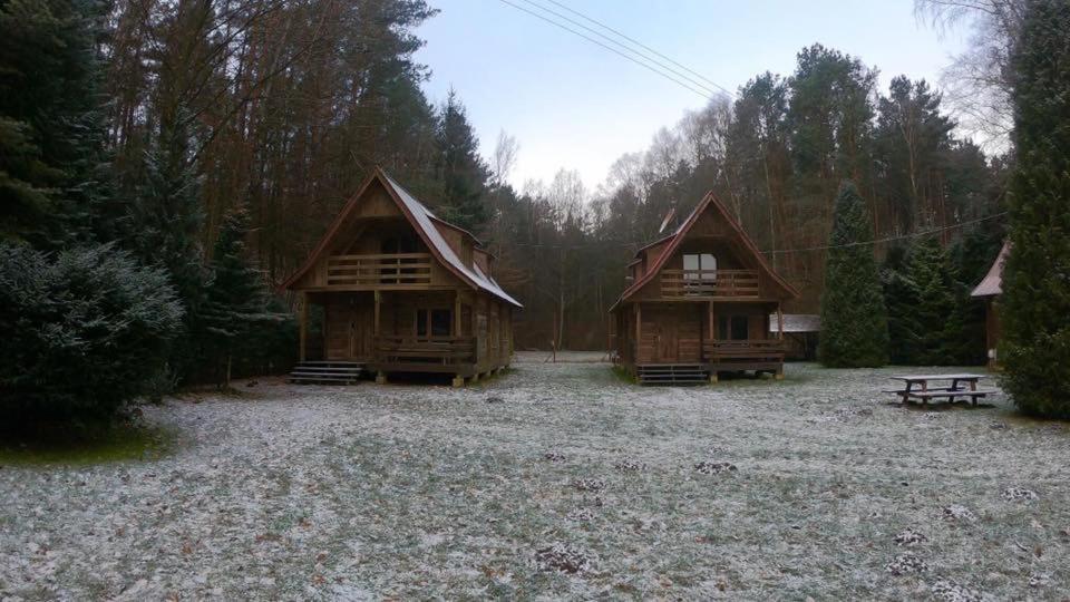 dwie drewniane domki w środku lasu w obiekcie EKOEDEN - OŚRODEK WYPOCZYNKOWY w mieście Połczyn-Zdrój