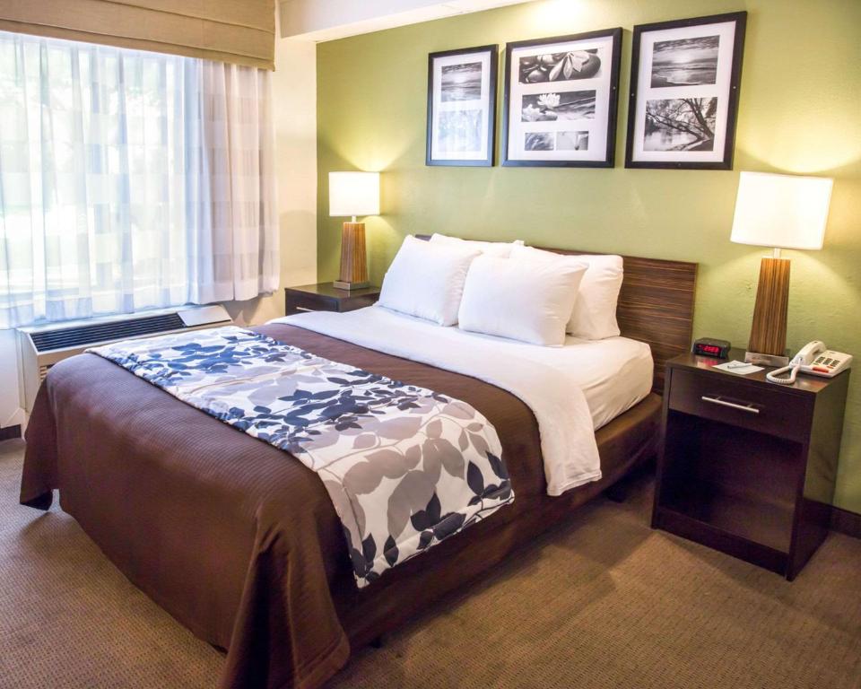 um quarto de hotel com uma cama e duas lâmpadas em Sleep Inn Nashville Downtown Opryland Area em Nashville