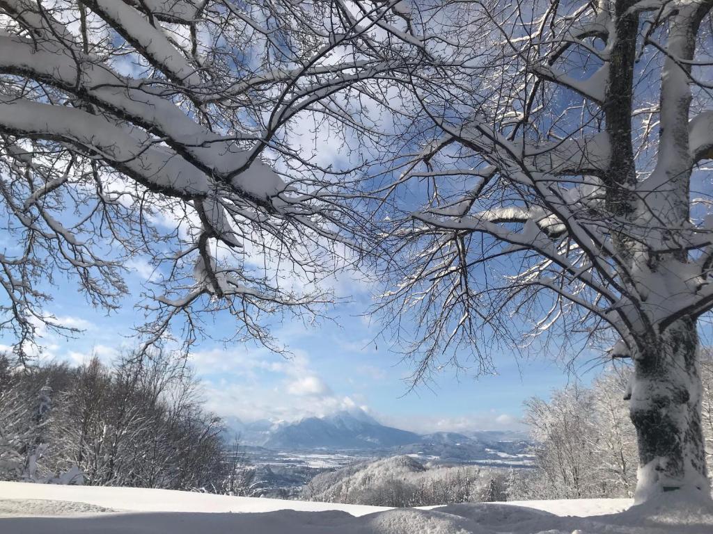 Romantik Hotel Die Gersberg Alm mit Panoramablick auf Salzburg - Resim 45