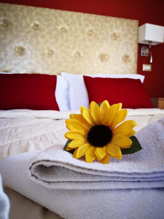 Postel nebo postele na pokoji v ubytování Sant'Oronzo B&B