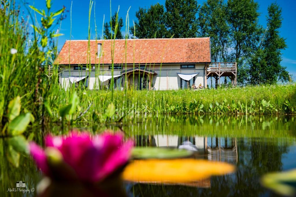 a house with a red roof and a flower in the water at Zielna Farma in Blanki