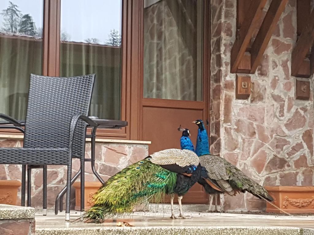 Hotel Esprit - Resim 14