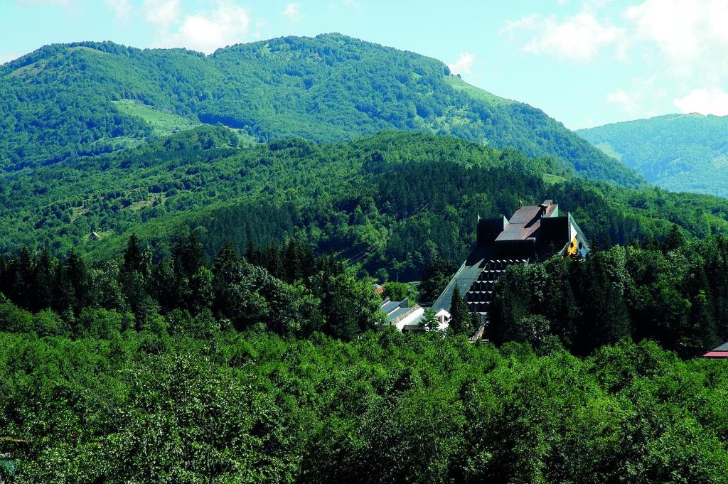 Příroda nedaleko hotelu