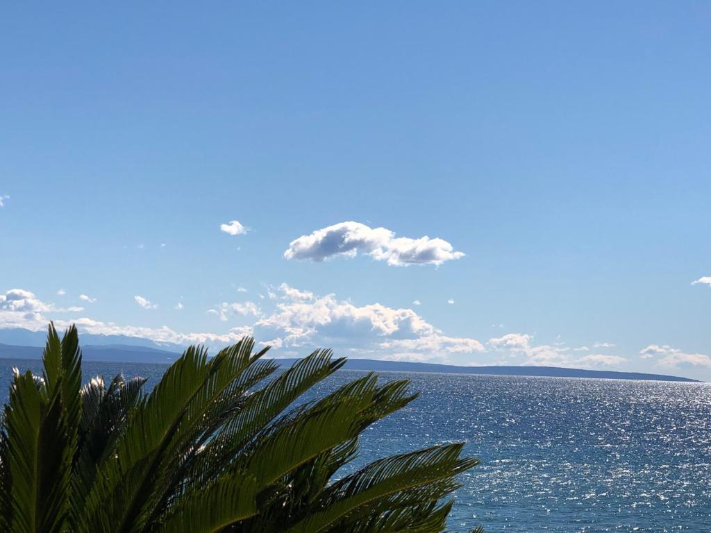 Apartments Roberta - 3