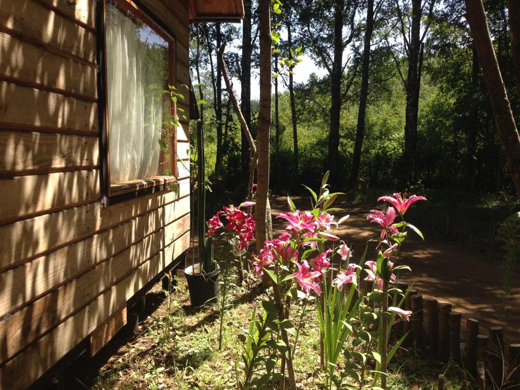 una casa con flores rosas al lado de un edificio en Eco-Cabañas Quetroleufu, en Pucón