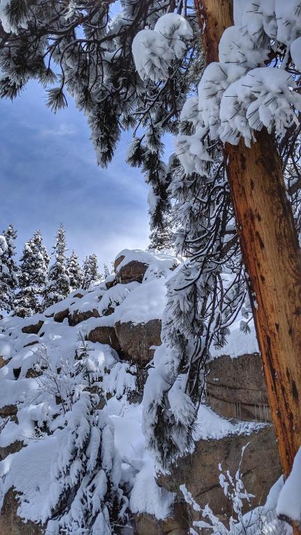 Alpen Way Chalet Mountain Lodge talvel