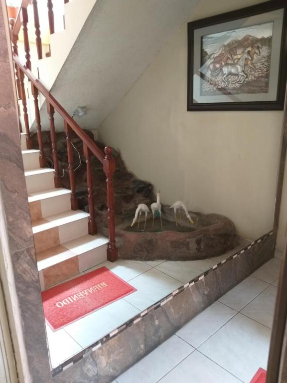 Fotografie z fotogalerie ubytování Hostal Oro Orense v destinaci Quito