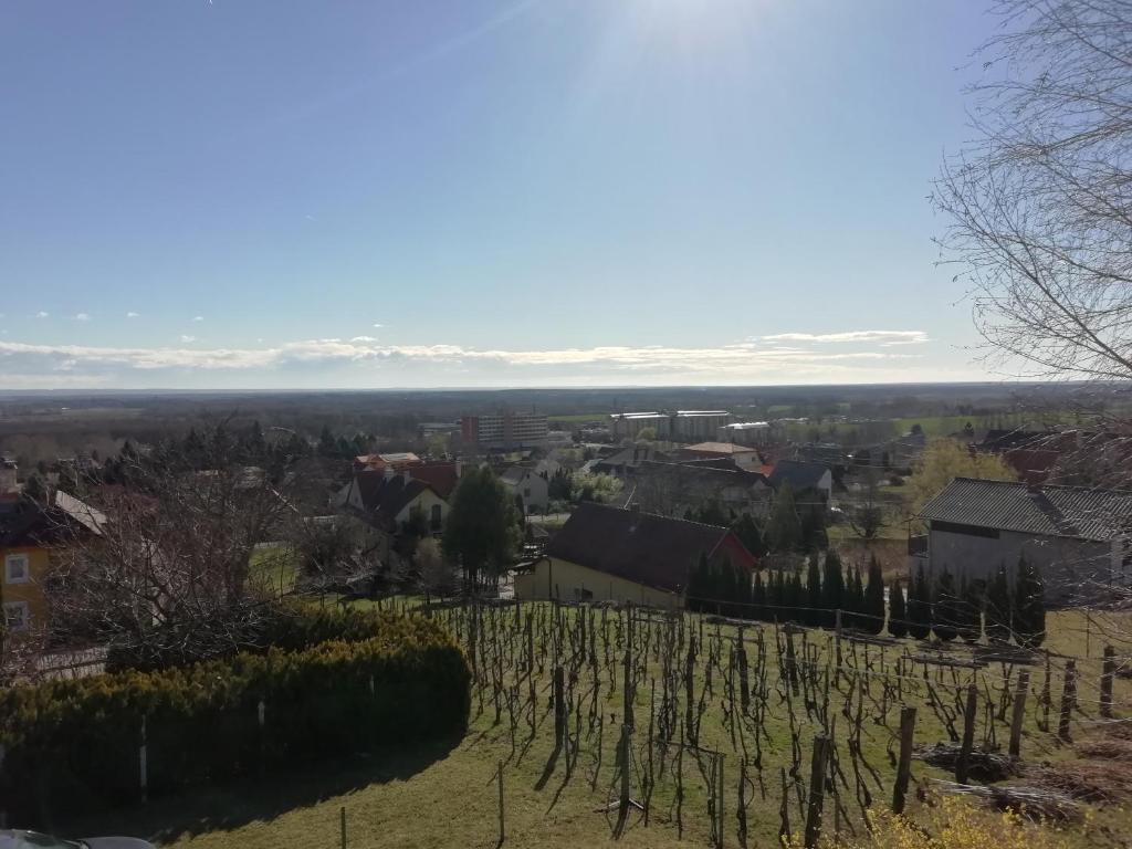 Príroda v okolí dovolenkového domu