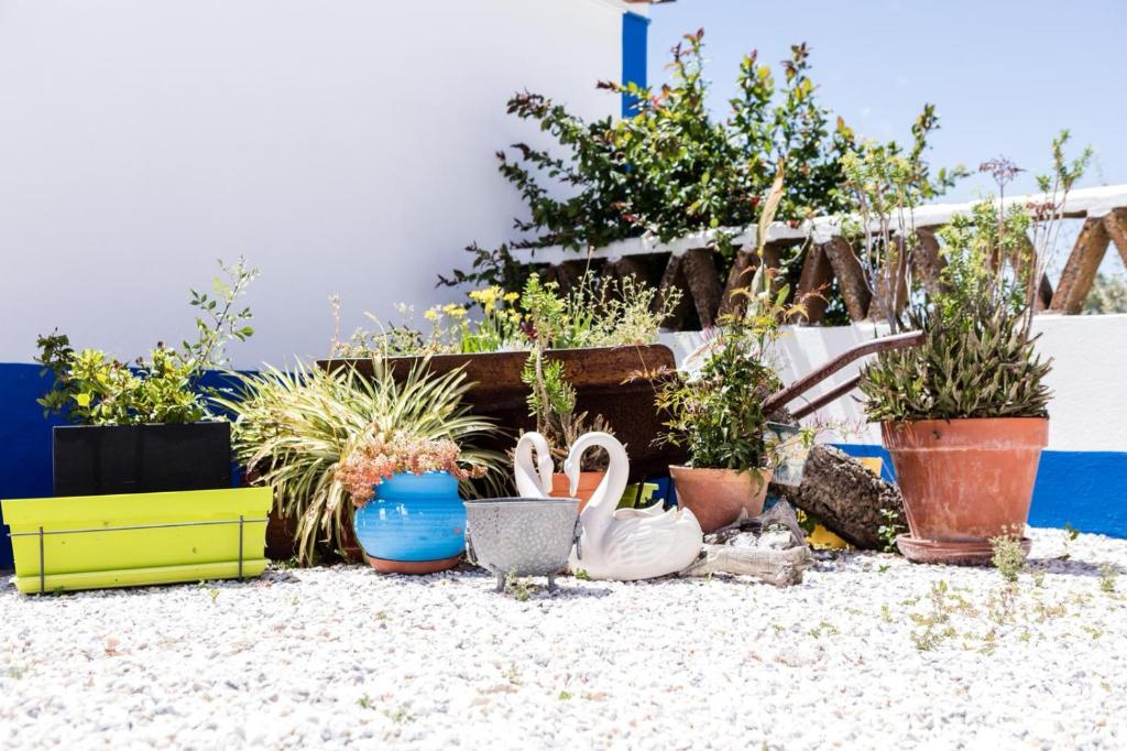 Carrança Lounge - 7