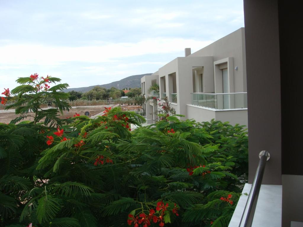 Zahrada ubytování Double Bay Beach Hotel