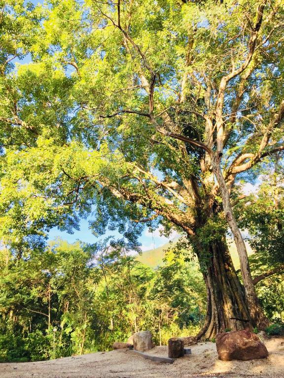 Area 4 eco cubes - 14