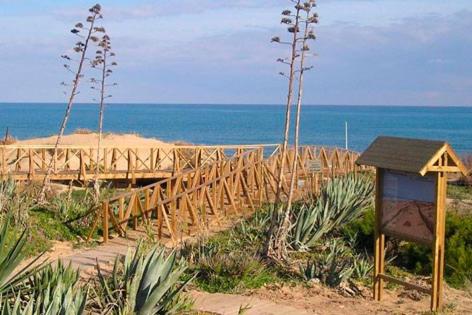 Fonteta Apartments, Guardamar del Segura, Spain - Booking.com