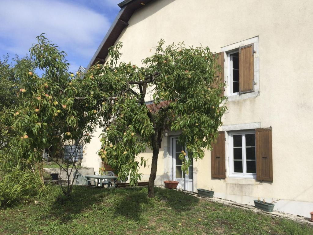 an apple tree in front of a house at Retro arty house in Mesnay