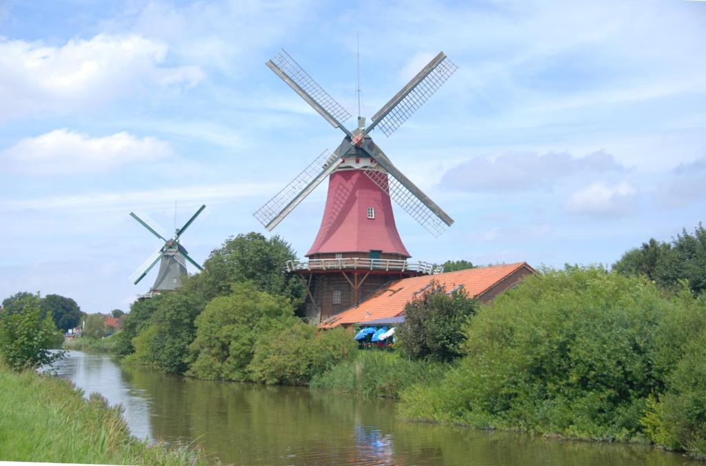 Příroda nedaleko apartmánu