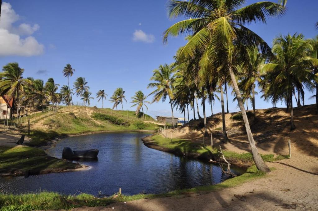 a river with palm trees on the side of a beach at Recanto Verde - Praia de Santo Antônio in Diogo