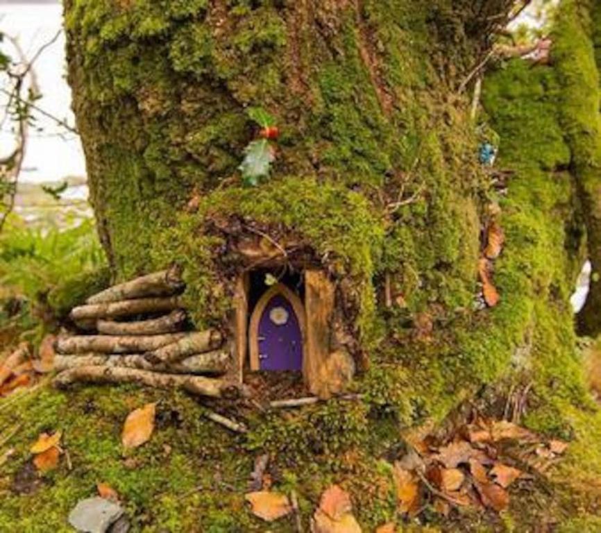 Zahrada ubytování INGLEWOOD - Ballina - Crossmolina - County Mayo - Sleeps 8 - Sister property to Thistledown