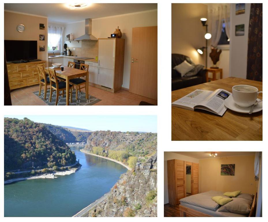 Ferienwohnung 554 - Urbar, vis-à-vis der Loreley - Housity