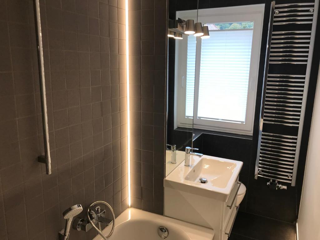 Koupelna v ubytování Zentrum Apartment Bad Schandau